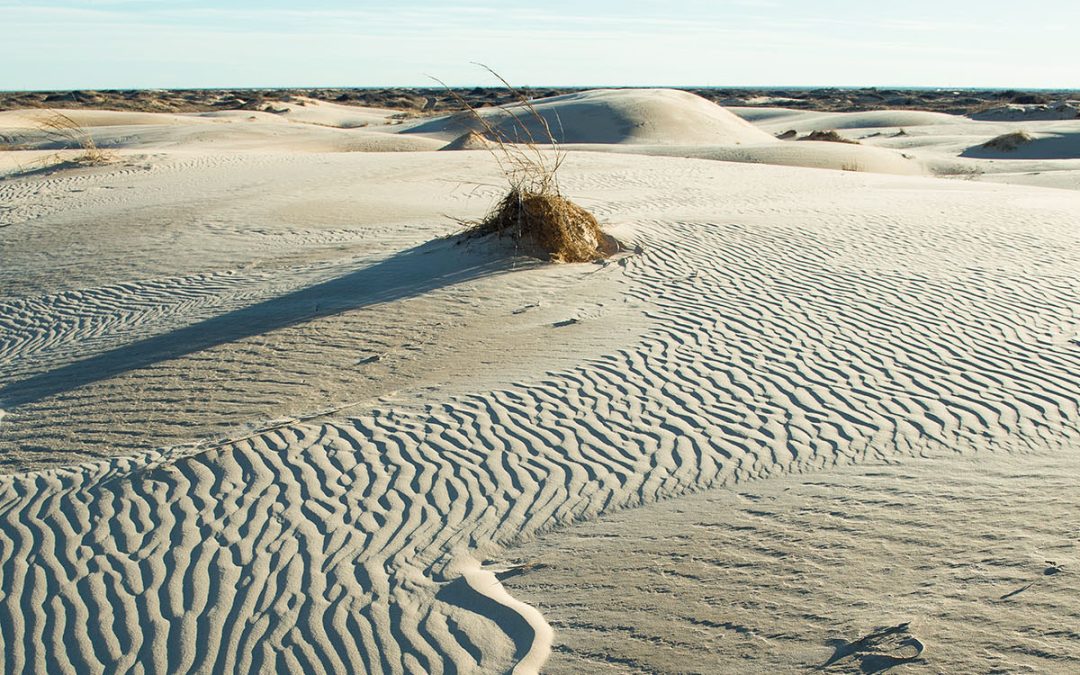 Sled Down the Dunes at Monahans Sandhills State Park in West Texas