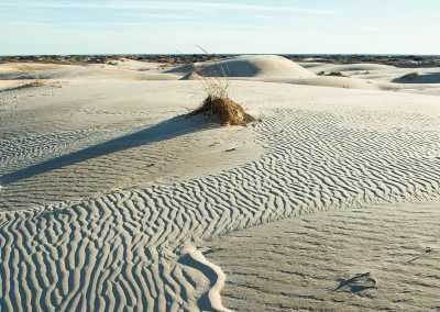Sled Down the Dunes at Monahans Sandhills State Park in West Texas