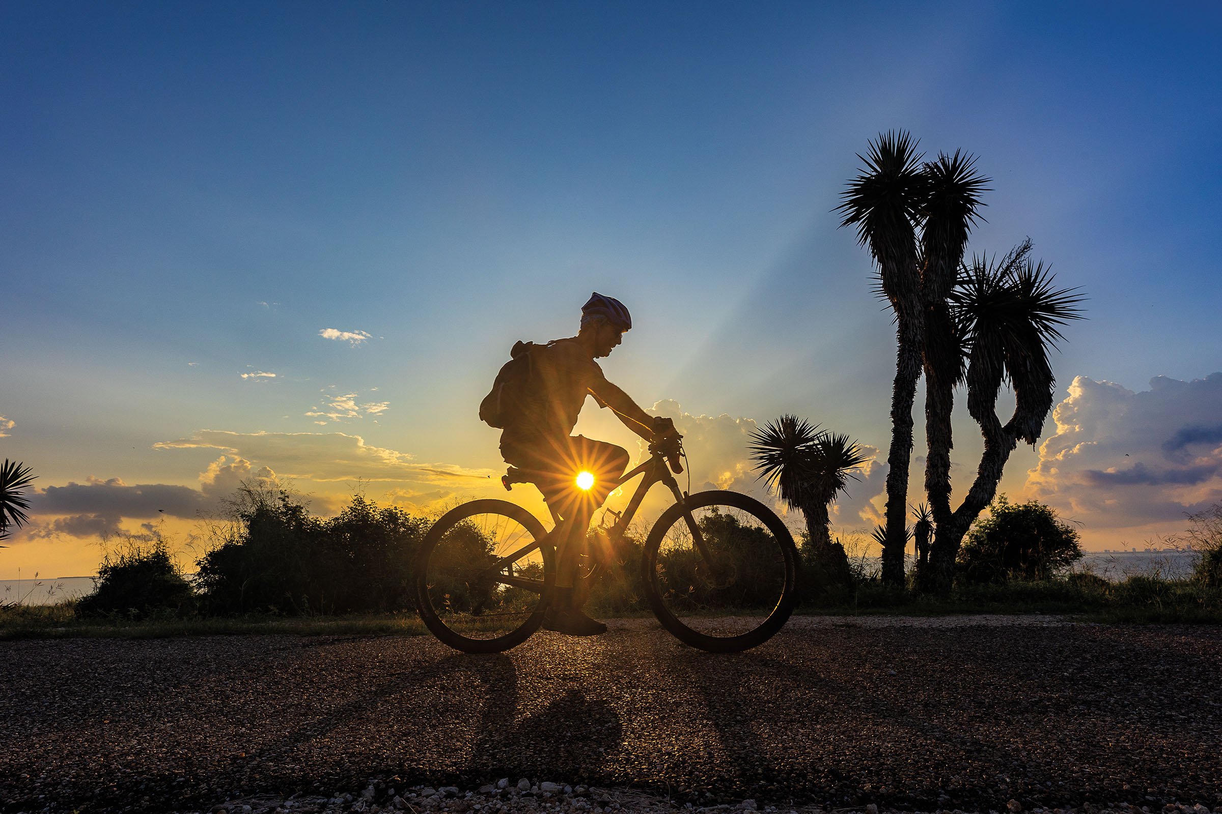 A silhouette of a person riding a bicycle in front of a sunset