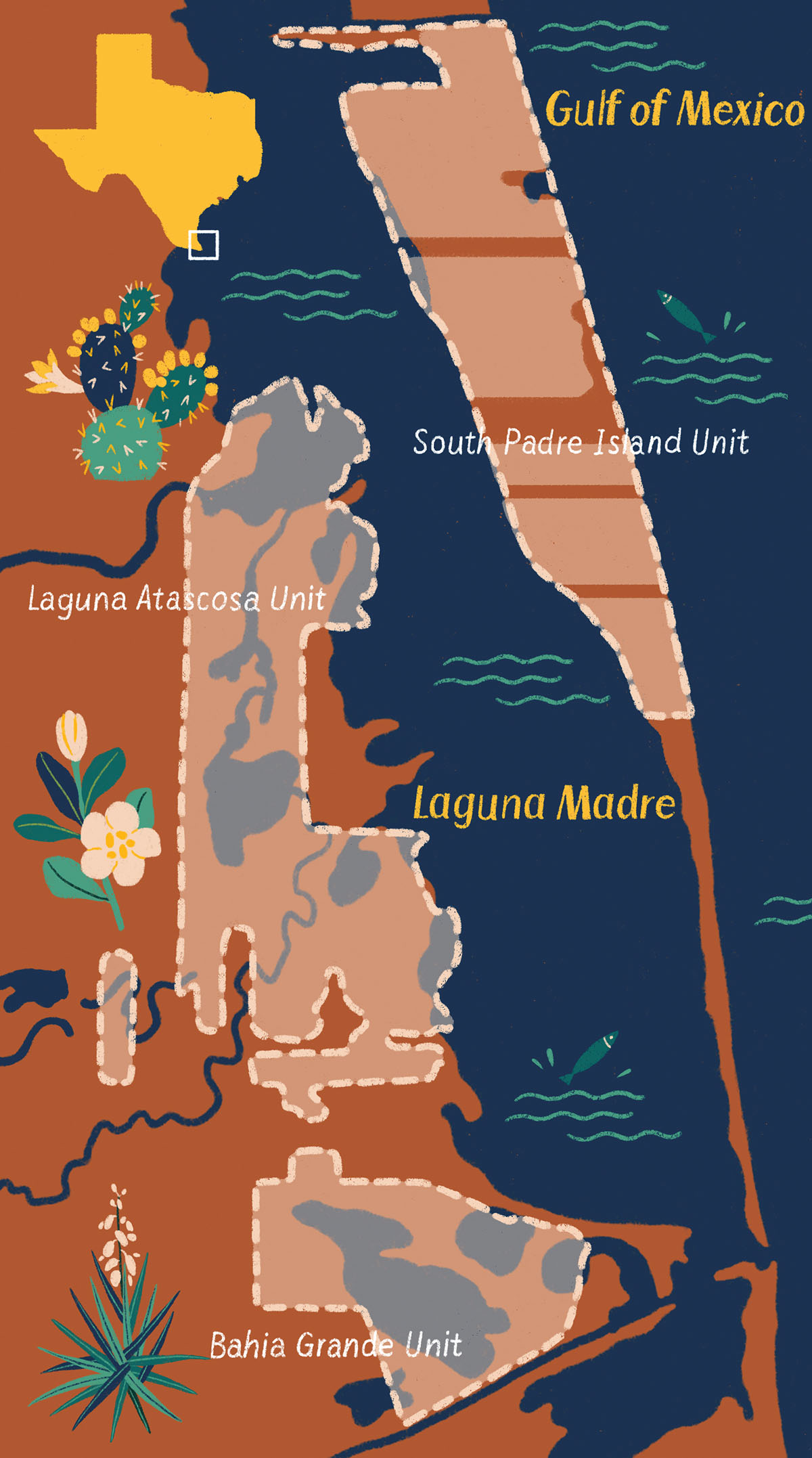 A map of coastal Texas showing the Laguna Madre and Laguna Atacosa areas