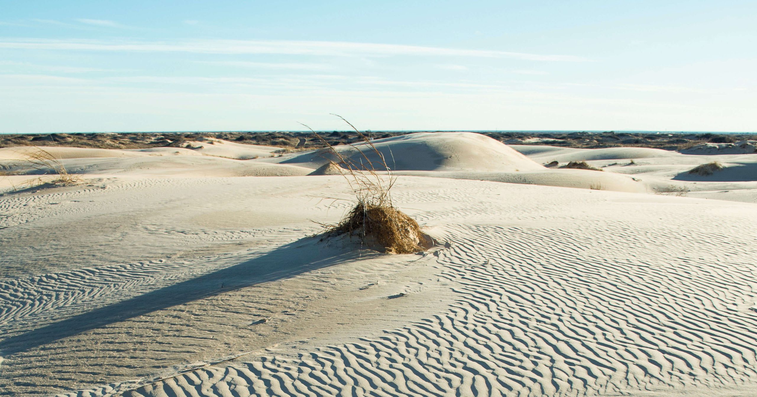 Sled Down the Dunes at Monahans Sandhills State Park in West Texas