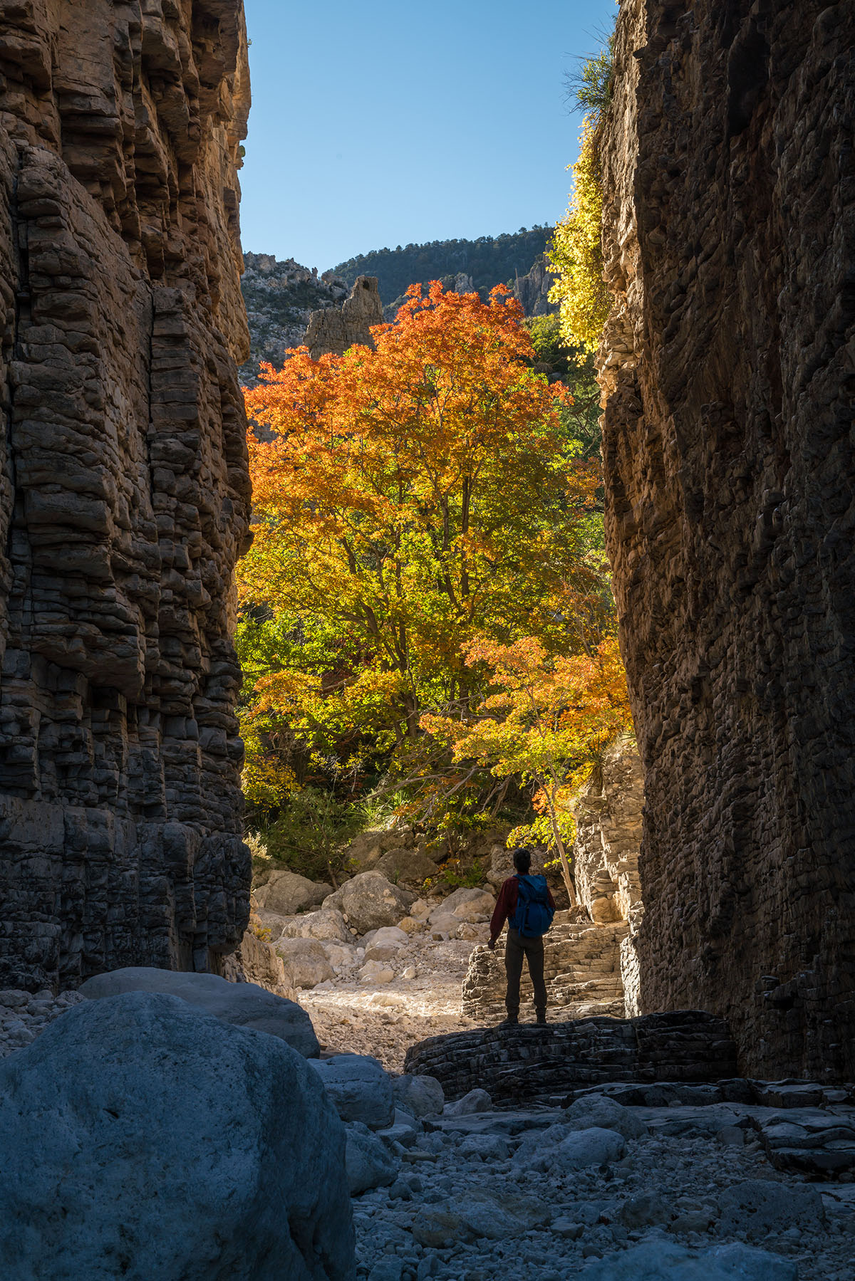 A hiker stands between two large rock outcroppings in front of brilliant fall colored trees and a large mountain