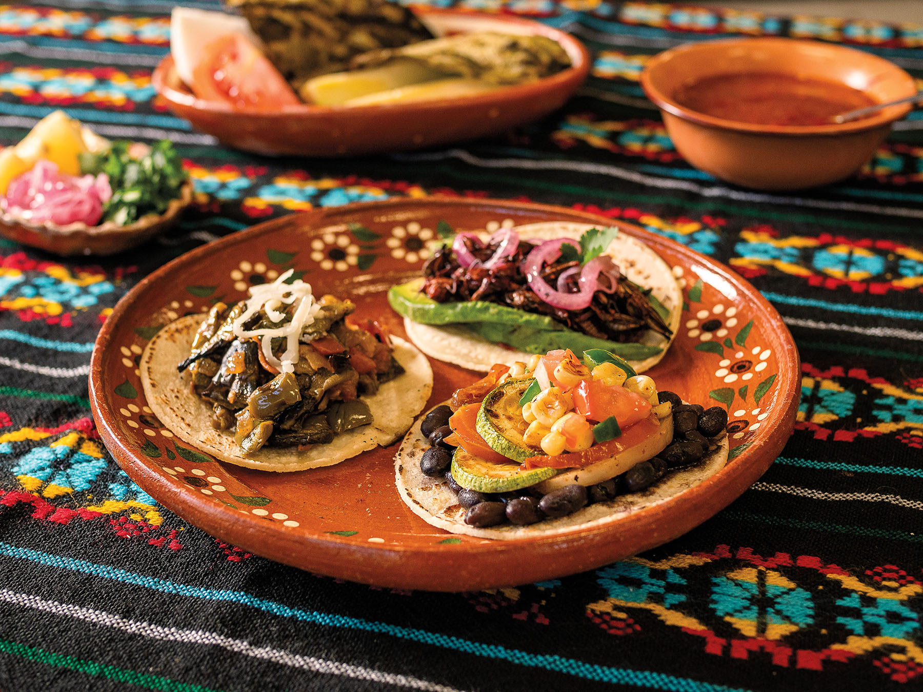 A earth-tone clay plate with three tacos on top