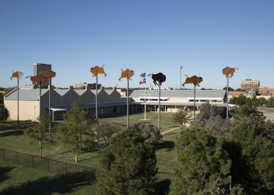 Roadside Oddity: Flying Herd of Buffalo in Abilene