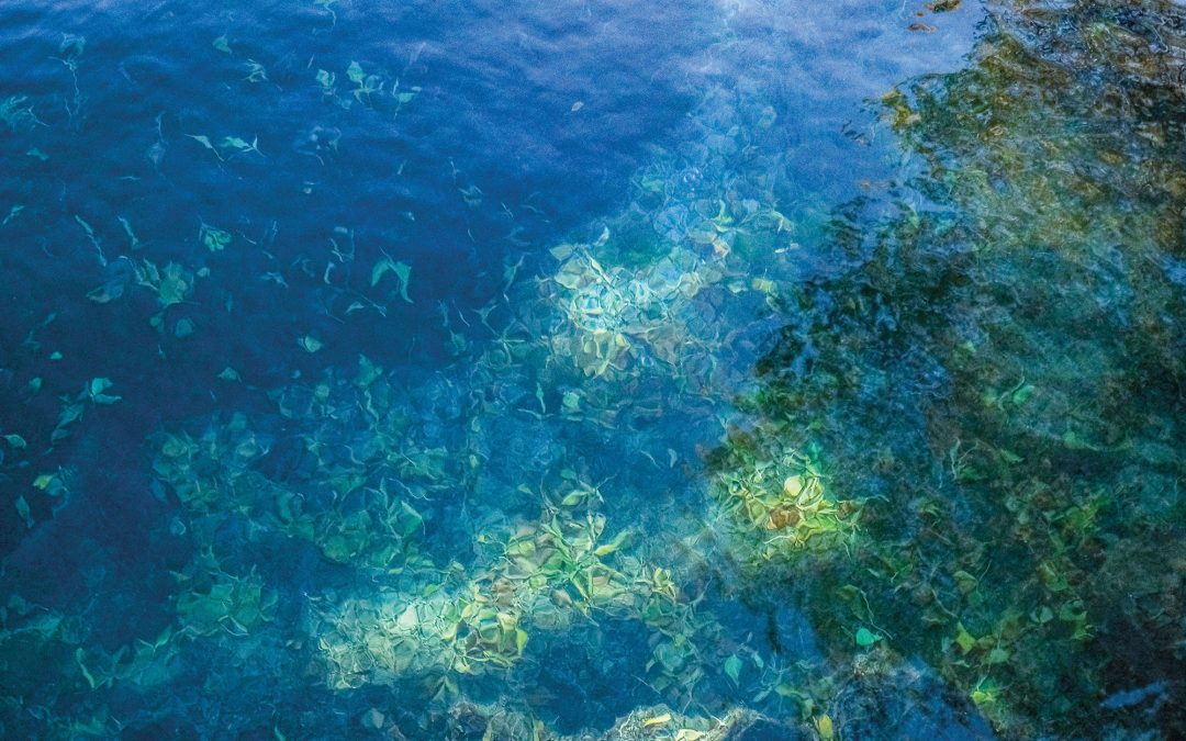The Eternal Springs of Balmorhea State Park Pool in West Texas