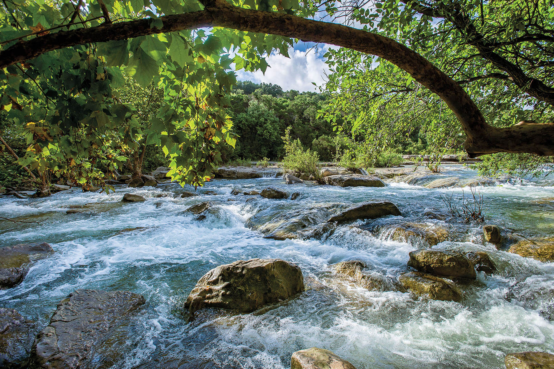 Water rushes over dark rocks beneath green trees and blue sky