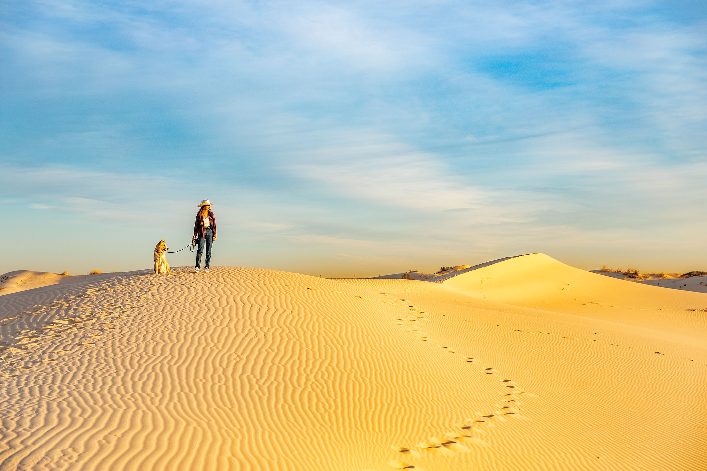 A woman in a large hat stands with a dog on a leash on top of a large golden sand dune