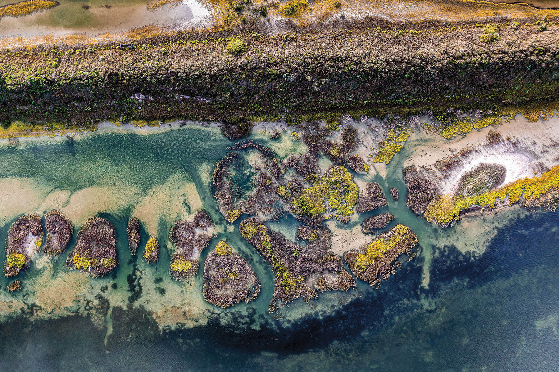 An overhead view of clear blue water, lush greenery and rock formations