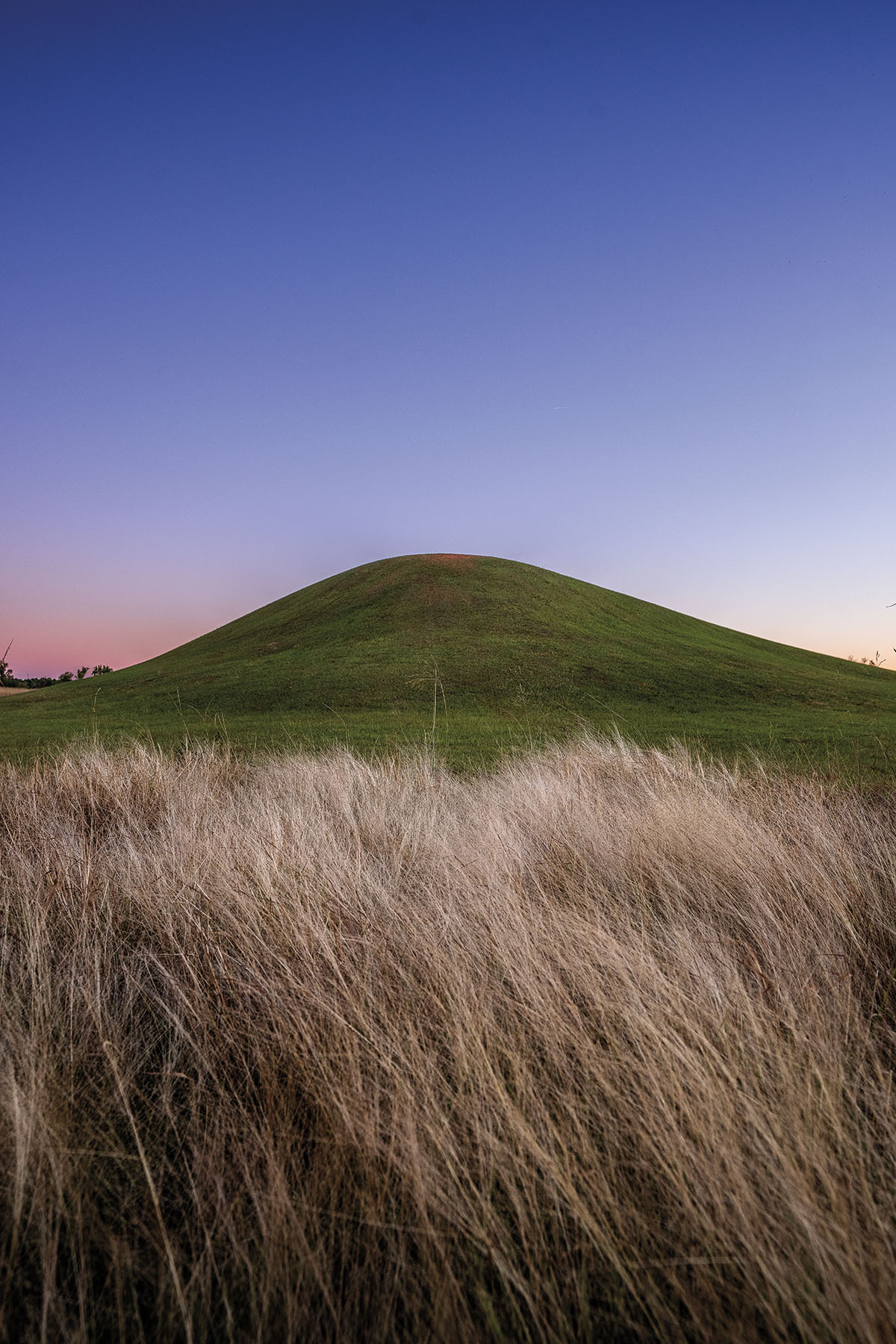 Dry grass flows in front of a green mound in a bluish-purple sky