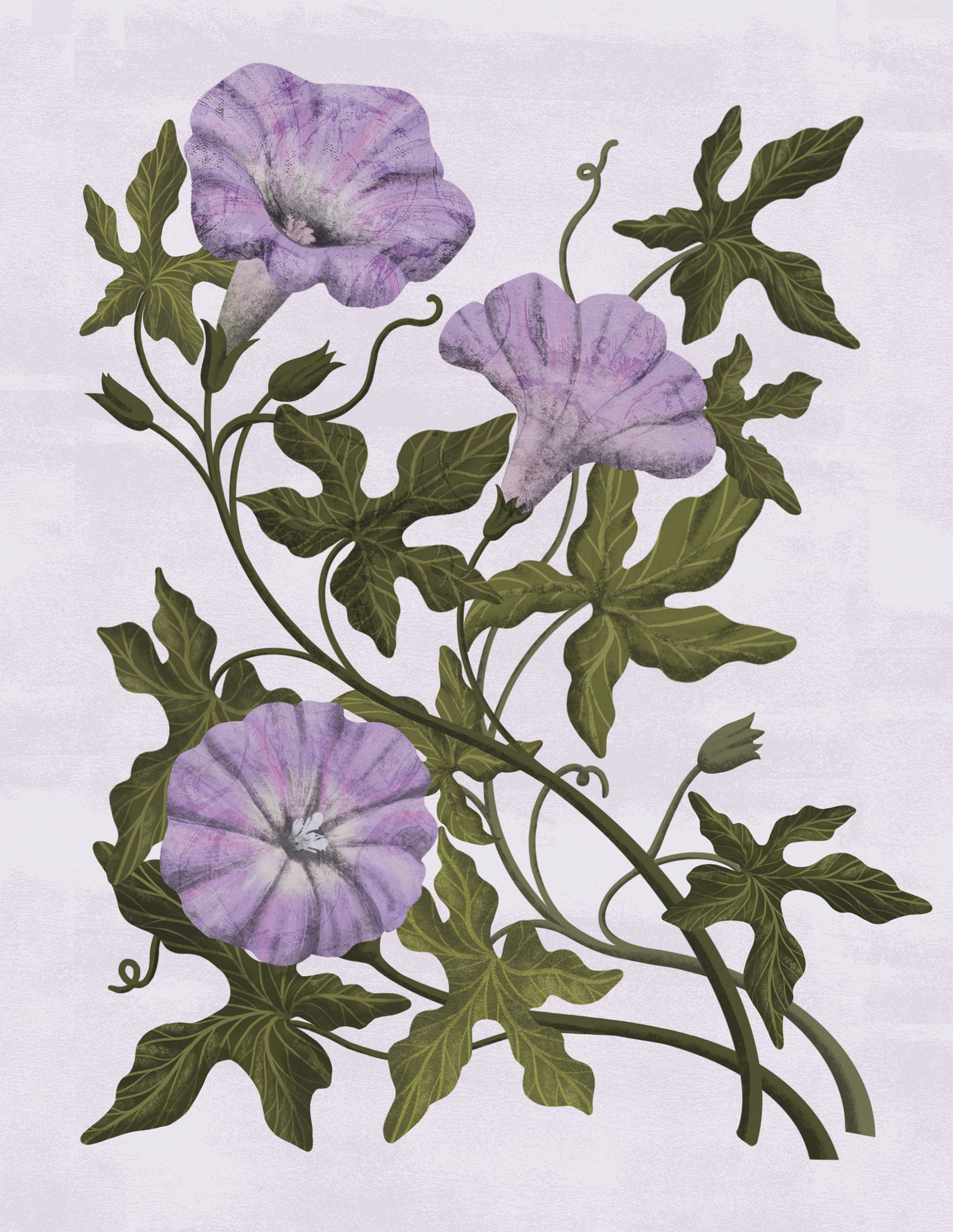 An illustration of purple flowers and green stems