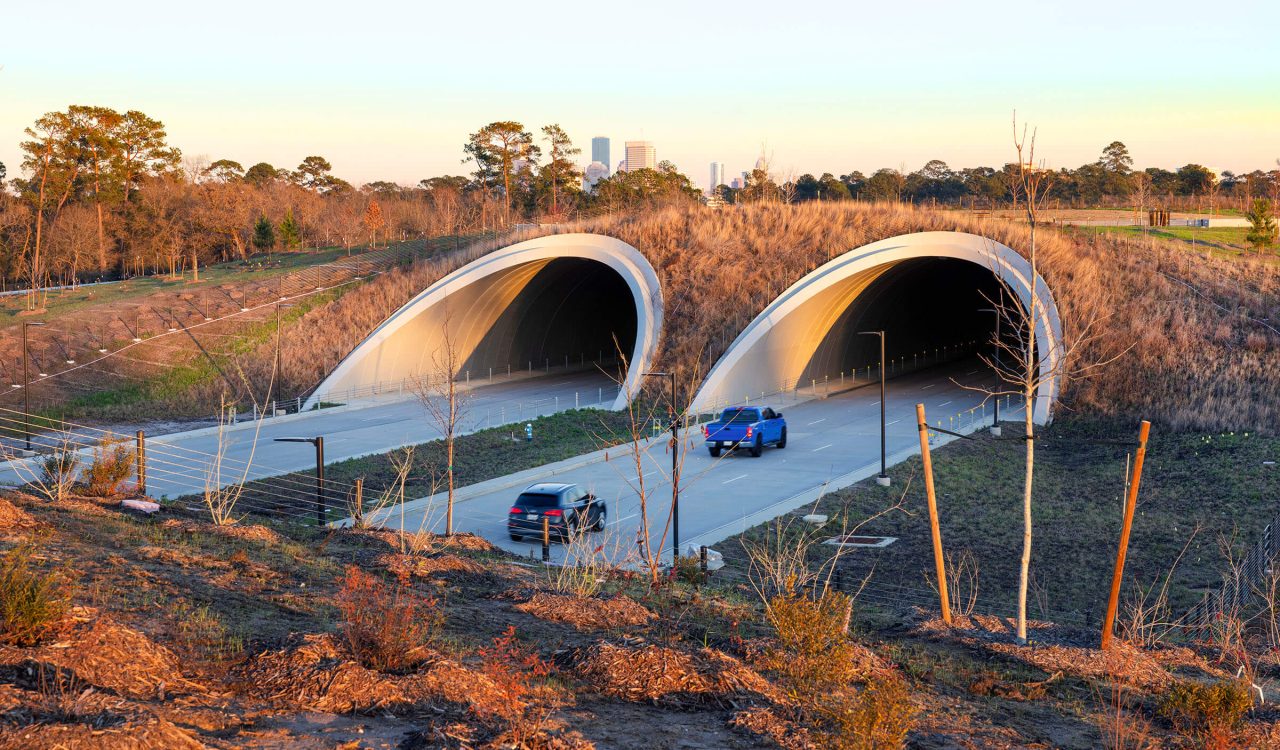 Houston’s New Land Bridge At Memorial Park Has Everyone Talking