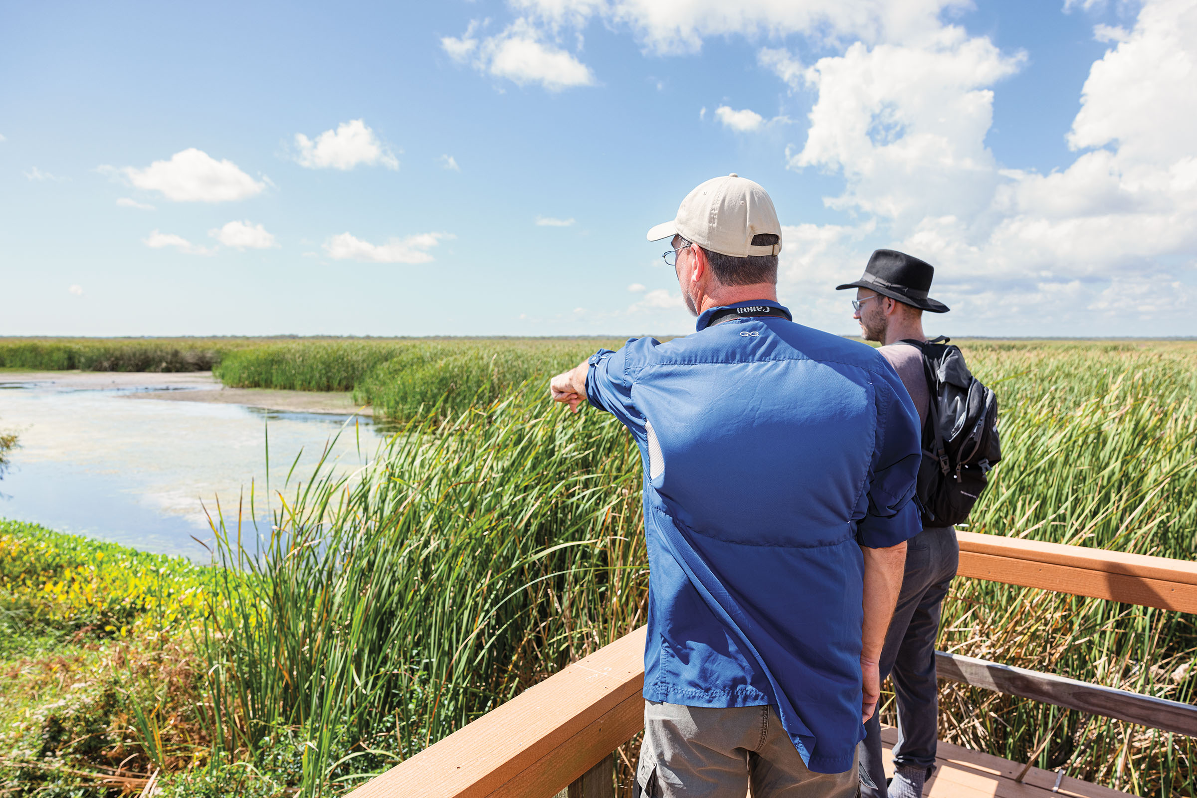 Two men in hats stand on a wooden pier looking into a marshy area