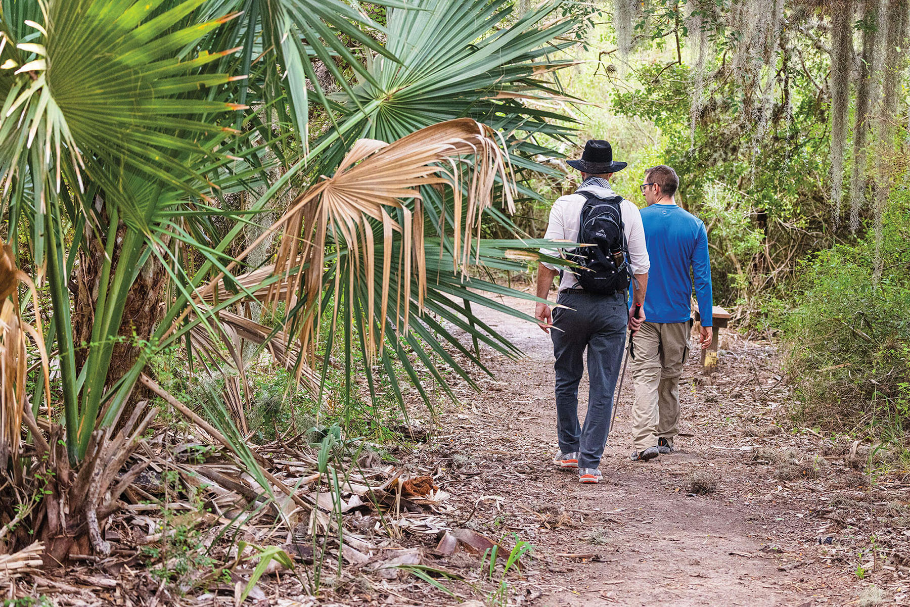 Two men walk down a dirt path beneath large green palmettos