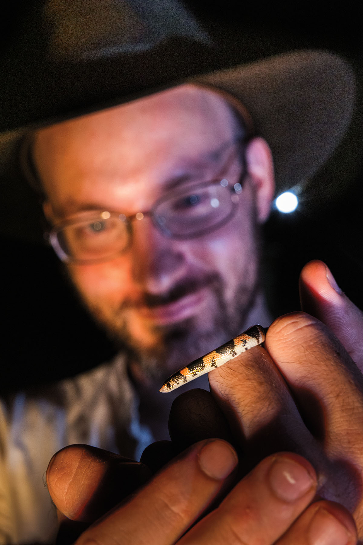 A man with glasses smiles as he looks at a small reptile