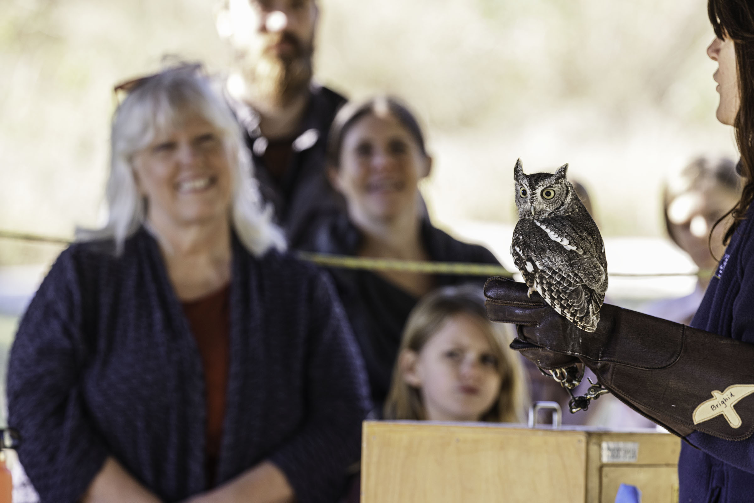 A group of people observe an owl as an interpreter speaks