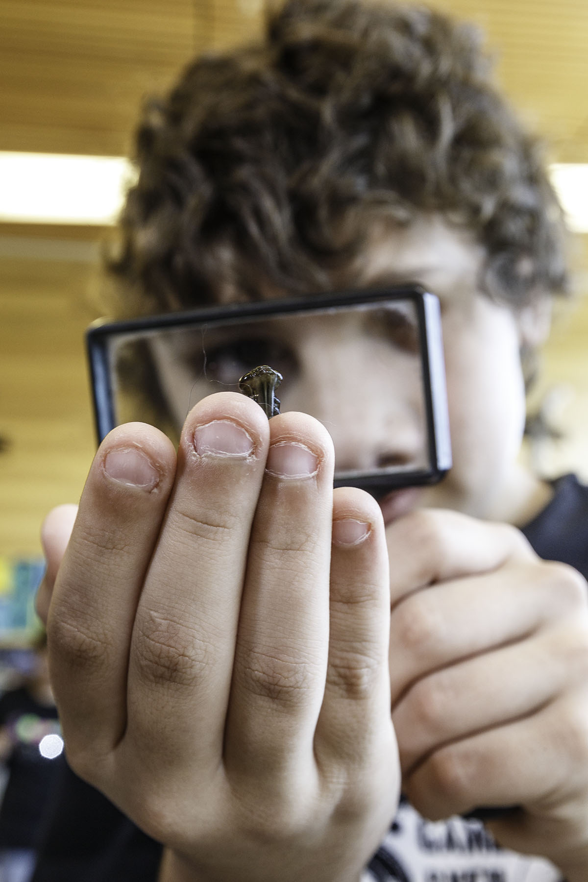 A young person examines a specimen with a large magnifying glass