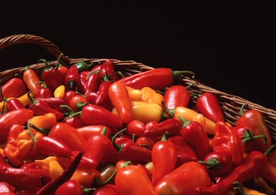 The Texas State Pepper and Native Pepper: Jalapeño and Chiltepín