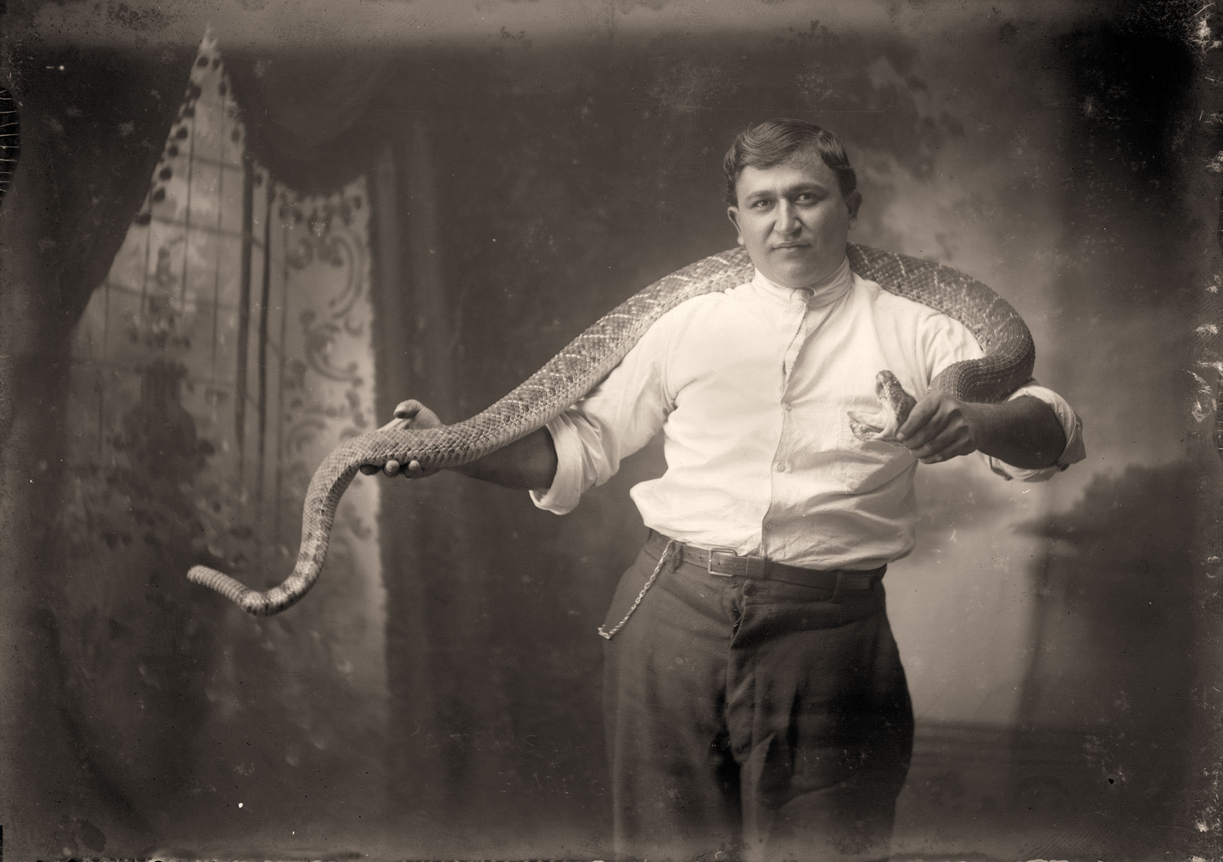 A vintage photograph of a man in a white shirt holding a large snake