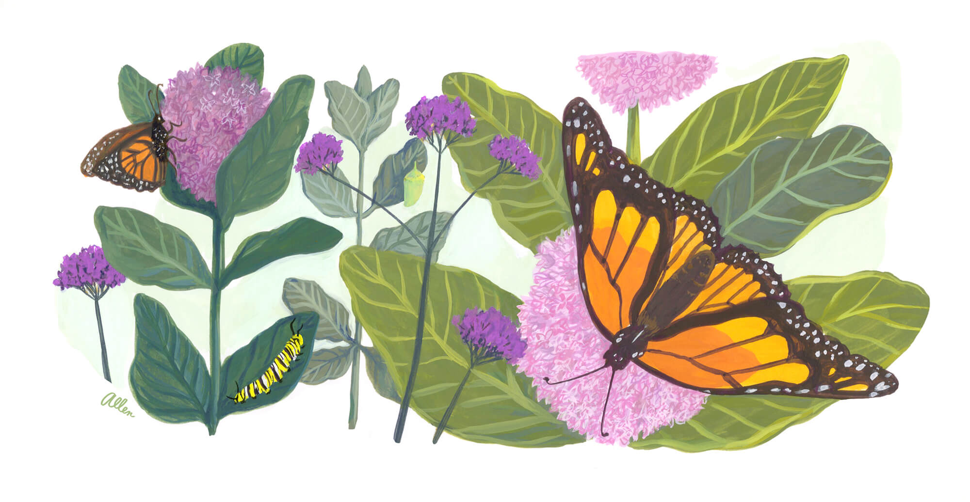 An illustration of an orange butterfly in front of green leafy plants and flowers