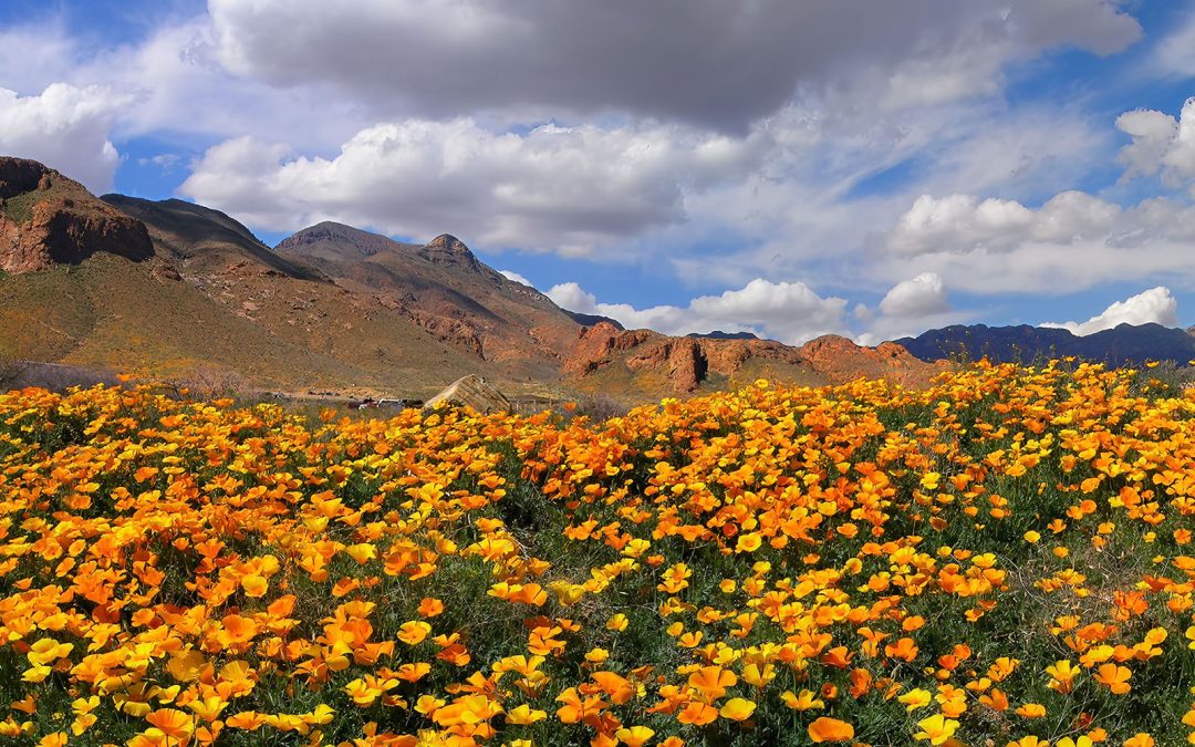 El Paso’s Future Looks Golden with New Castner Range National Monument