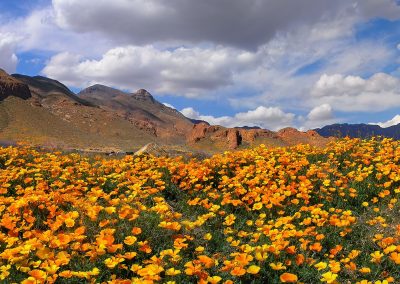 El Paso’s Future Looks Golden with New Castner Range National Monument