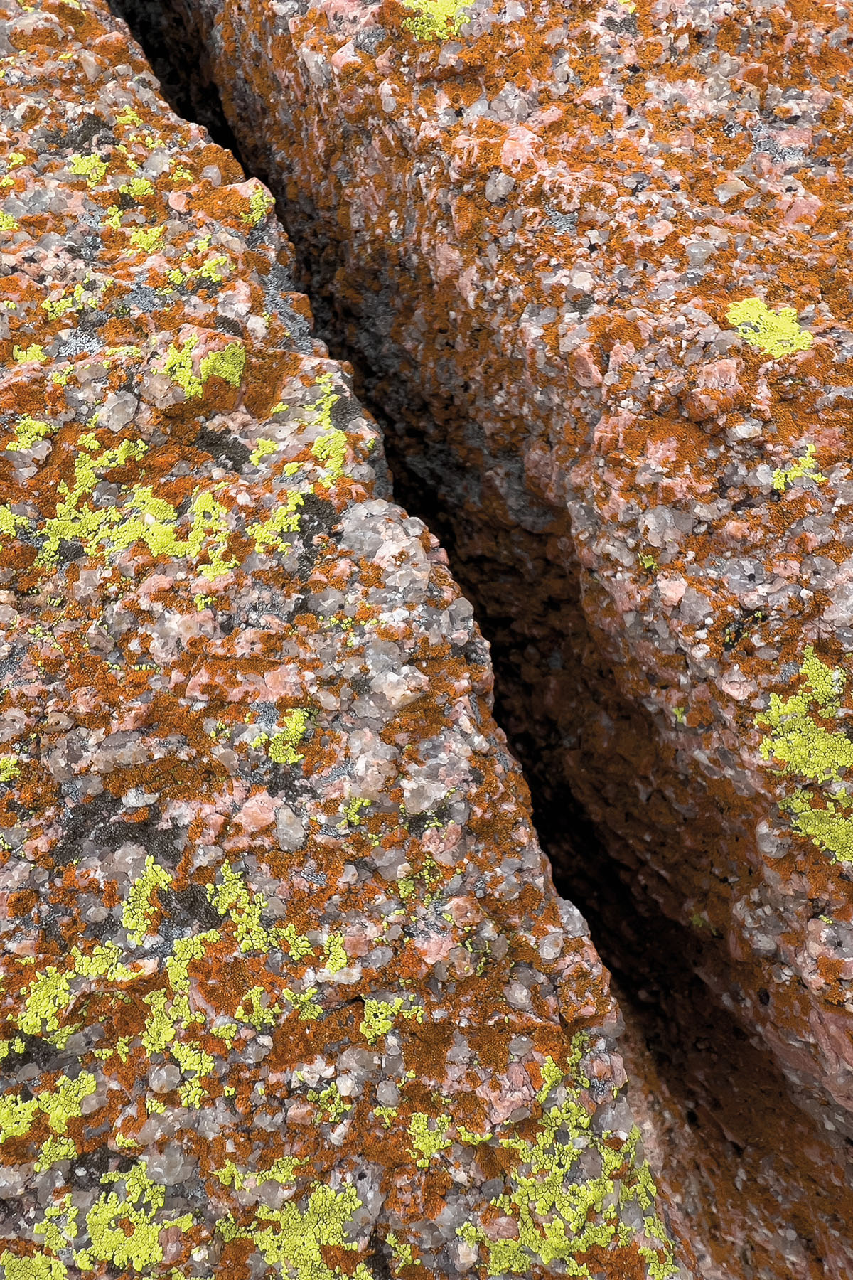 Small, patchy, green lichen covers a reddish gray stone