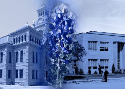 Beauty and the Beast: The Battle of the Bluebonnet Co-Capitals of Texas