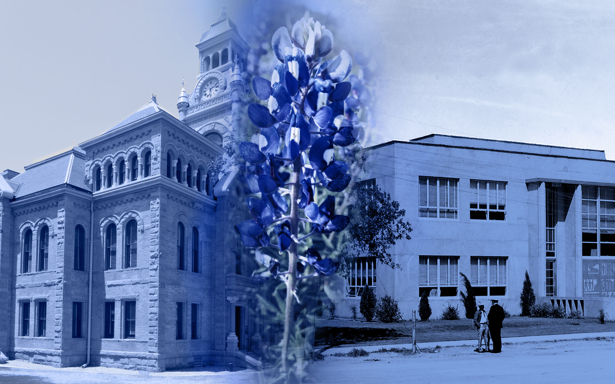 A photo illustration of the Llano and Burnet County Courthouses with a bluebonnet flower in the middle