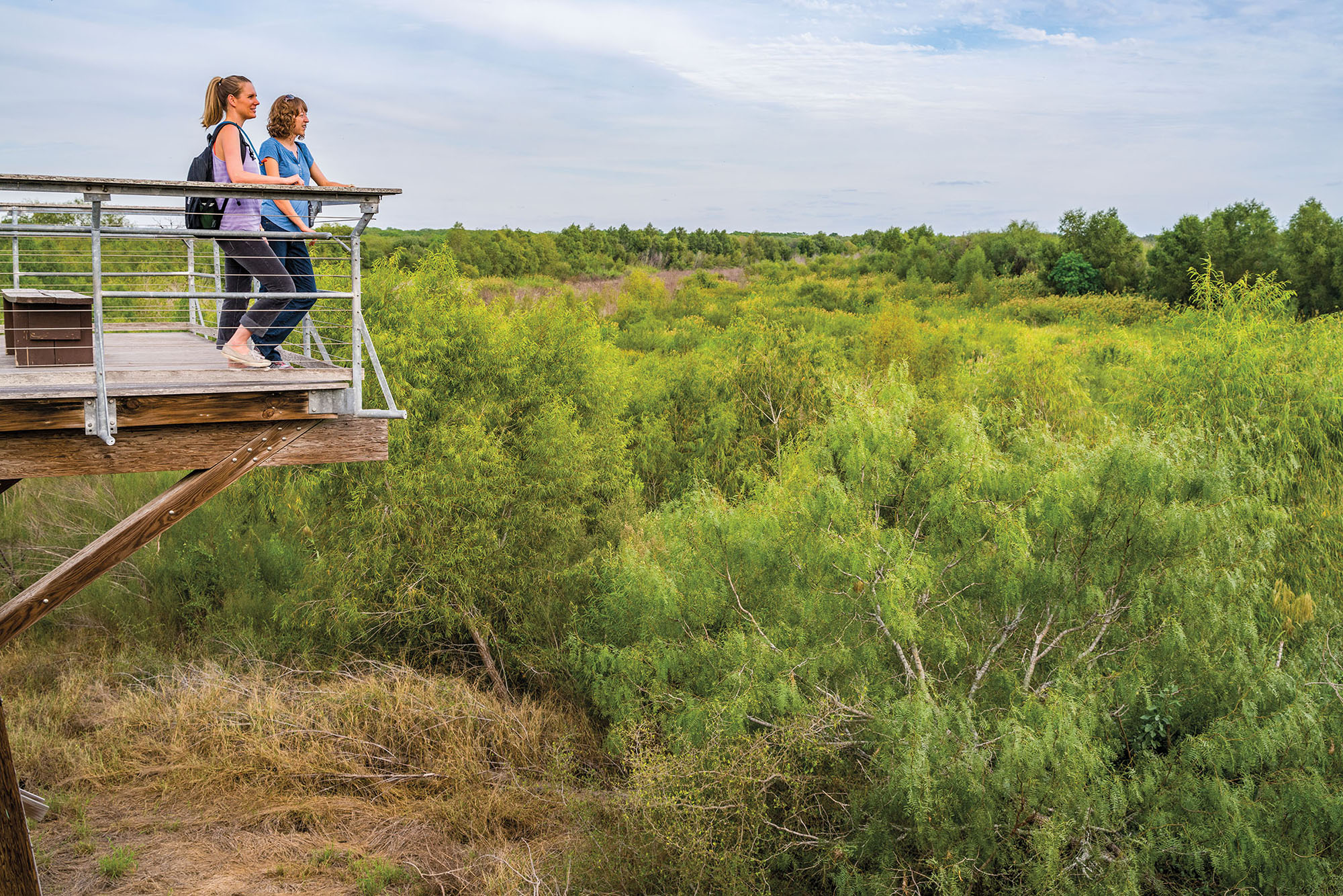 Two people stand on an overlook over green grassland