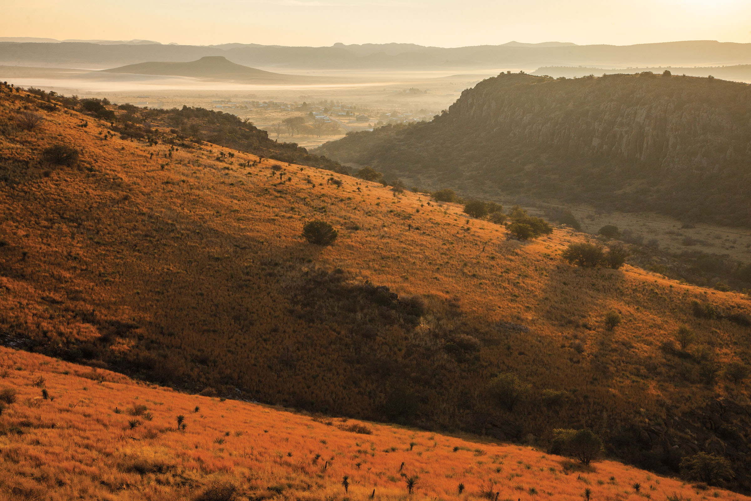 Golden-brown glow emanates from the large scrub trees and grasses of the Davis Mountains