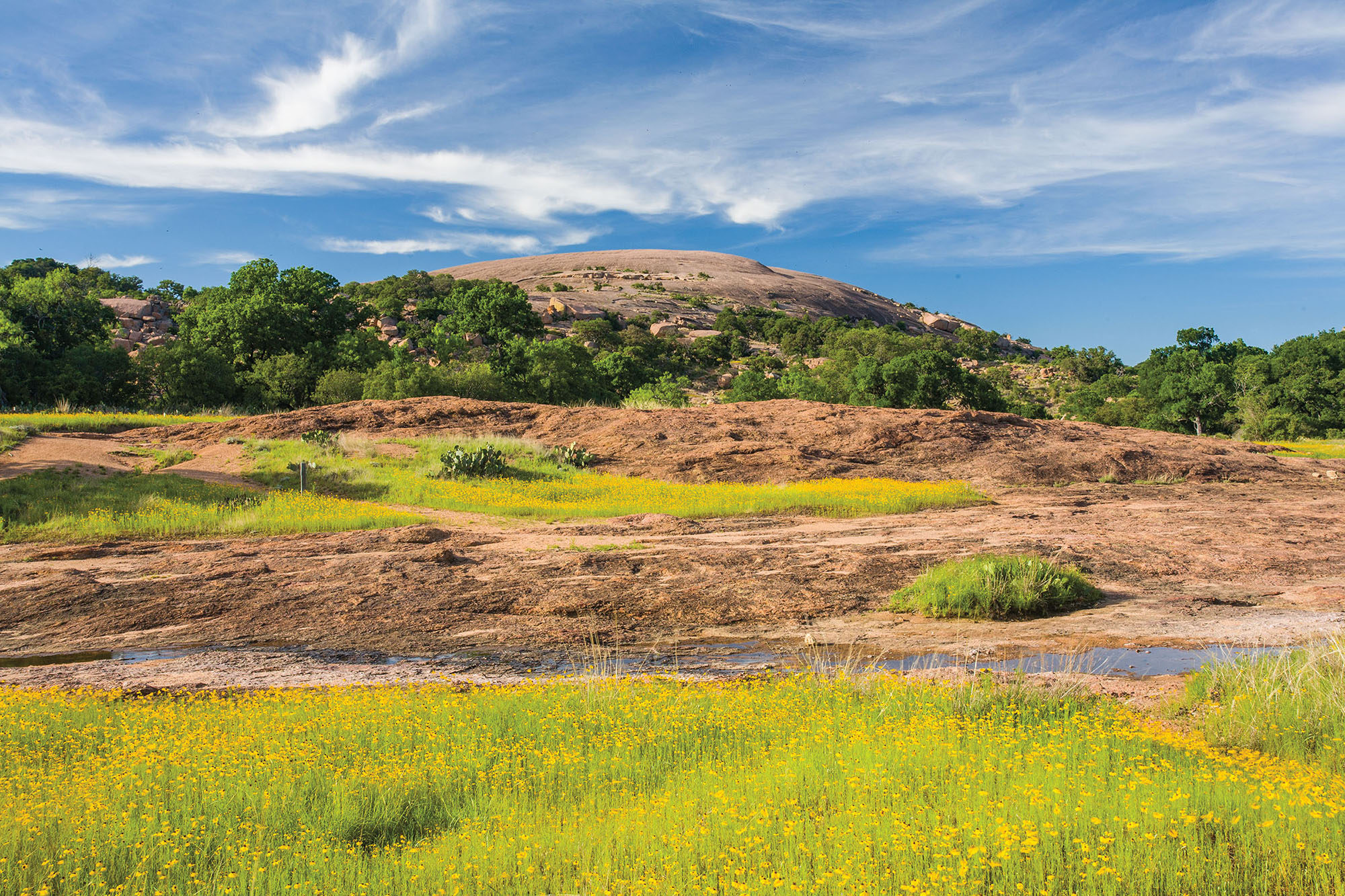 Green grass and flowers in front of the red rock facade of Enchanted Rock