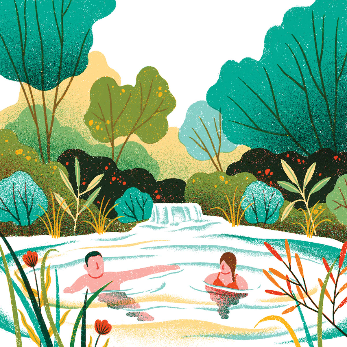 An illustration of two people swimming