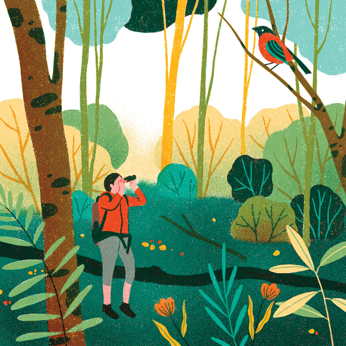 An illustration of a person using binoculars to look at a bird