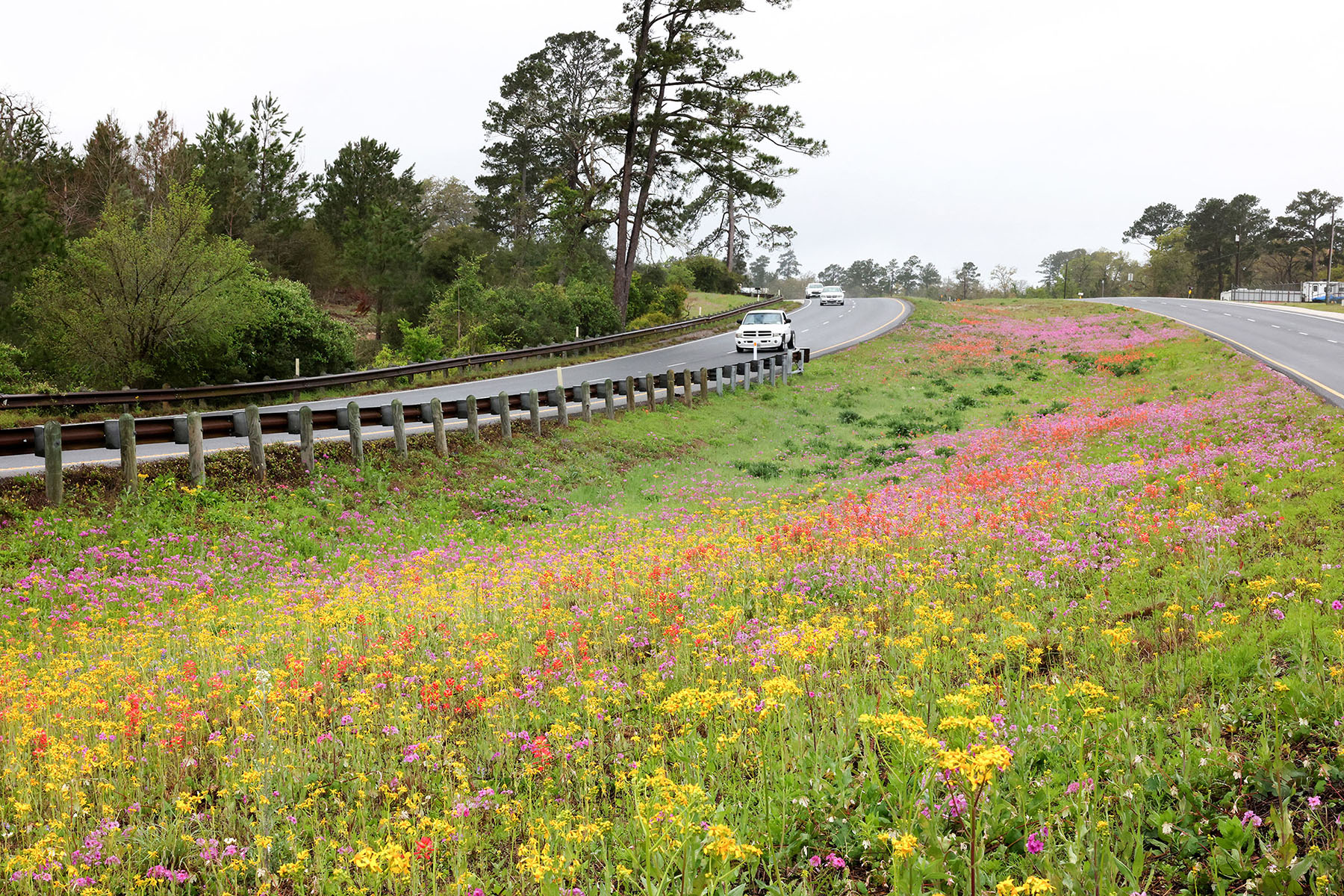 Pink and yellow wildflowers dot a green landscape next to a highway