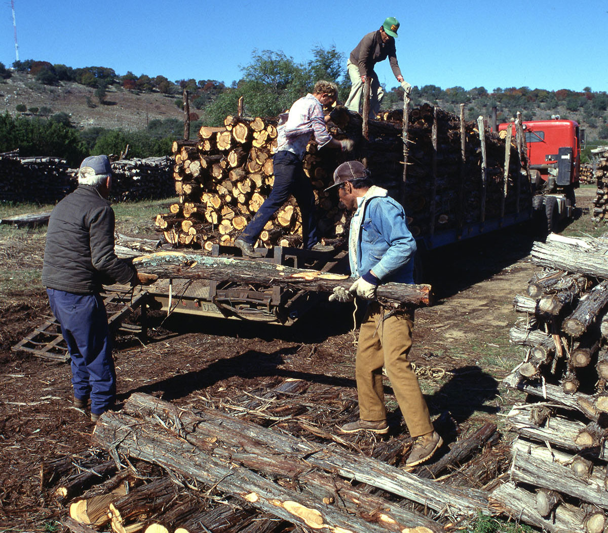 Standing next to an organized stack of cedar logs, two men hold the ends of a log as two other men load logs onto the flat bed of an 18-wheeler. Low hills, trees and shrubs are in the background. 