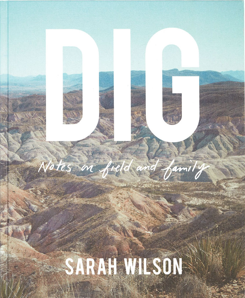 The cover of a book with large white lettering reading "DIG"