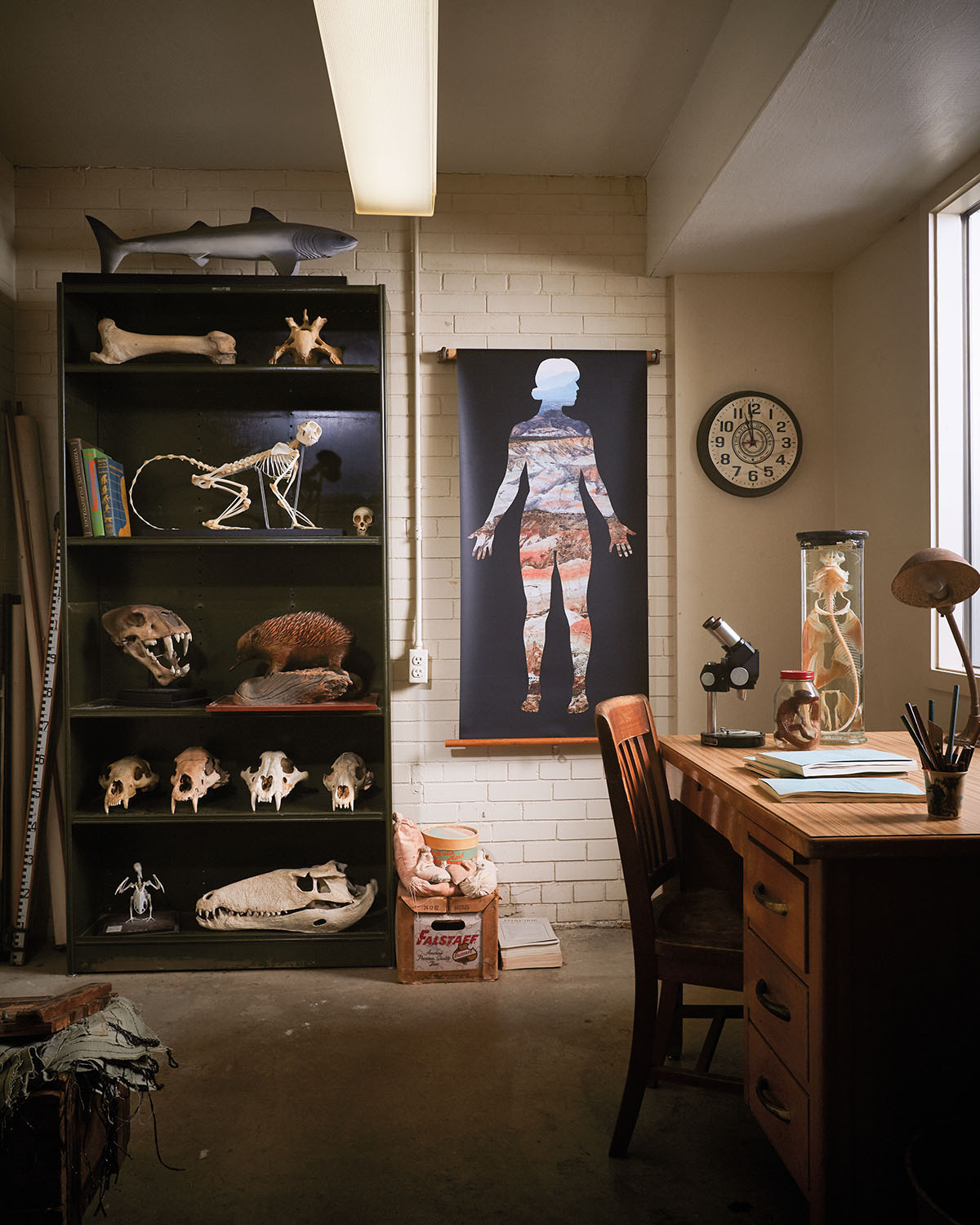 The inside of an office with numerous fossils and artifacts on a bookshelf next to a poster of a human-like figure