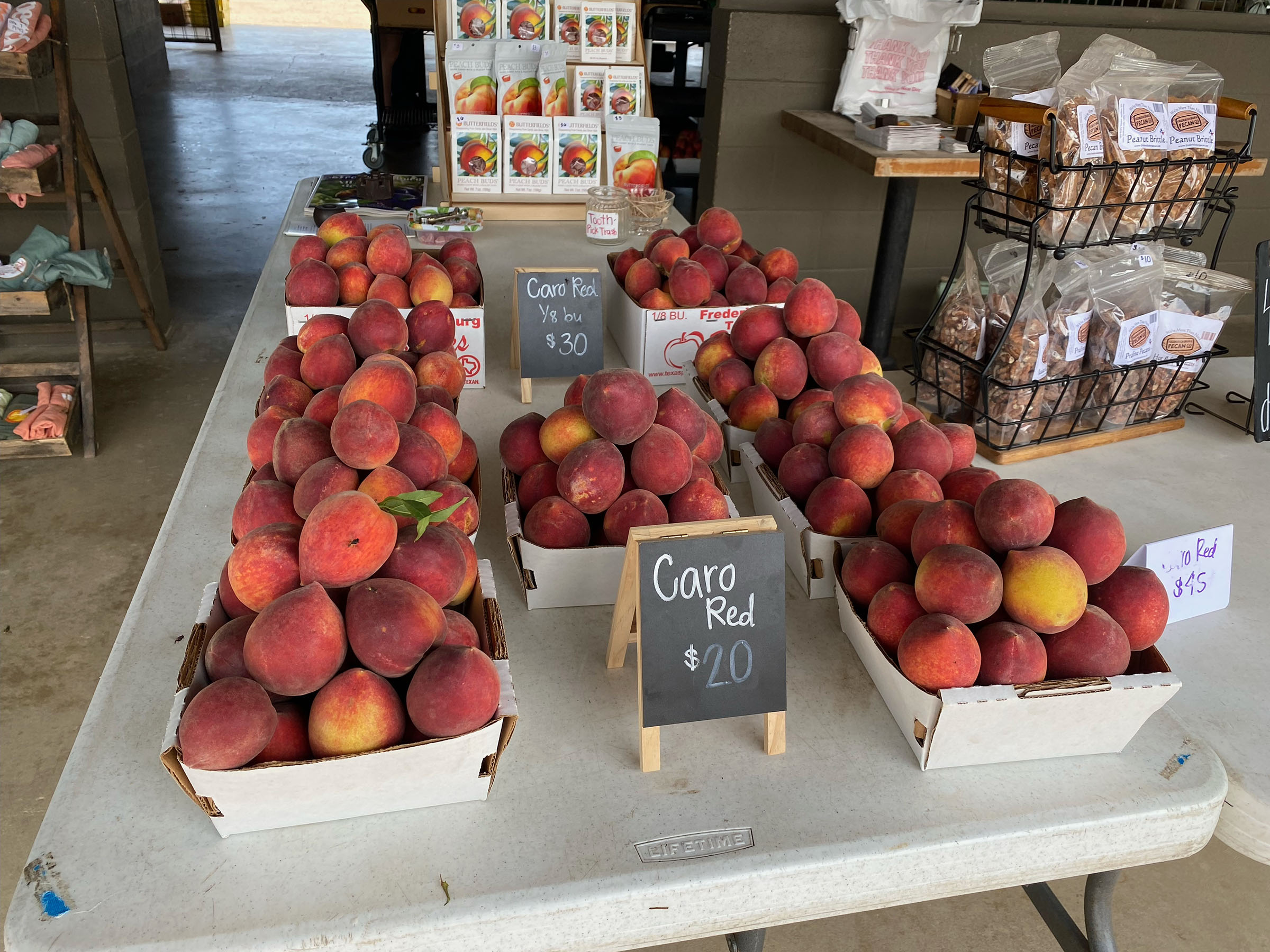 A plastic table with cardboard boxes full of peaches, with a small chalk sign reading "Caro Red, $20"