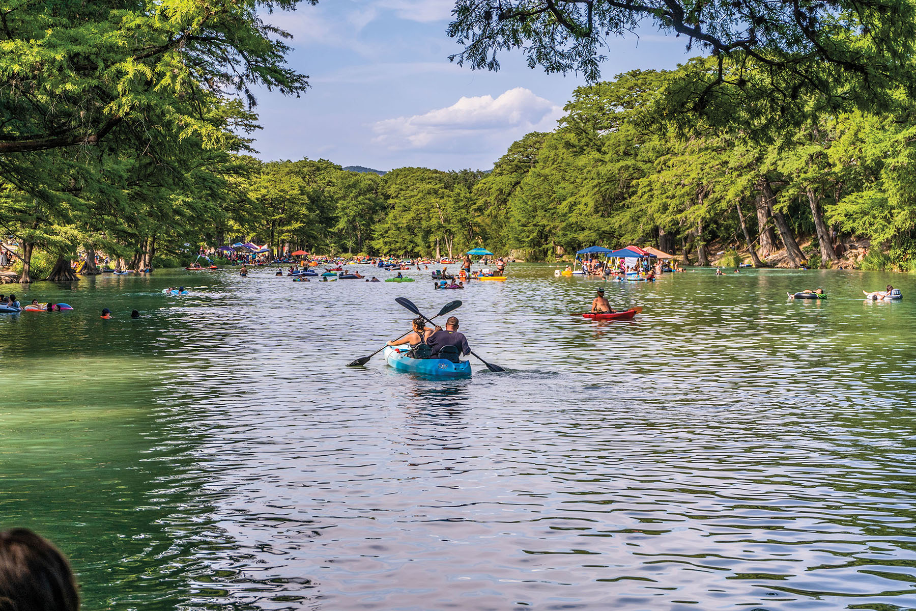 A group of people kayak and canoe on clear water beneath green trees
