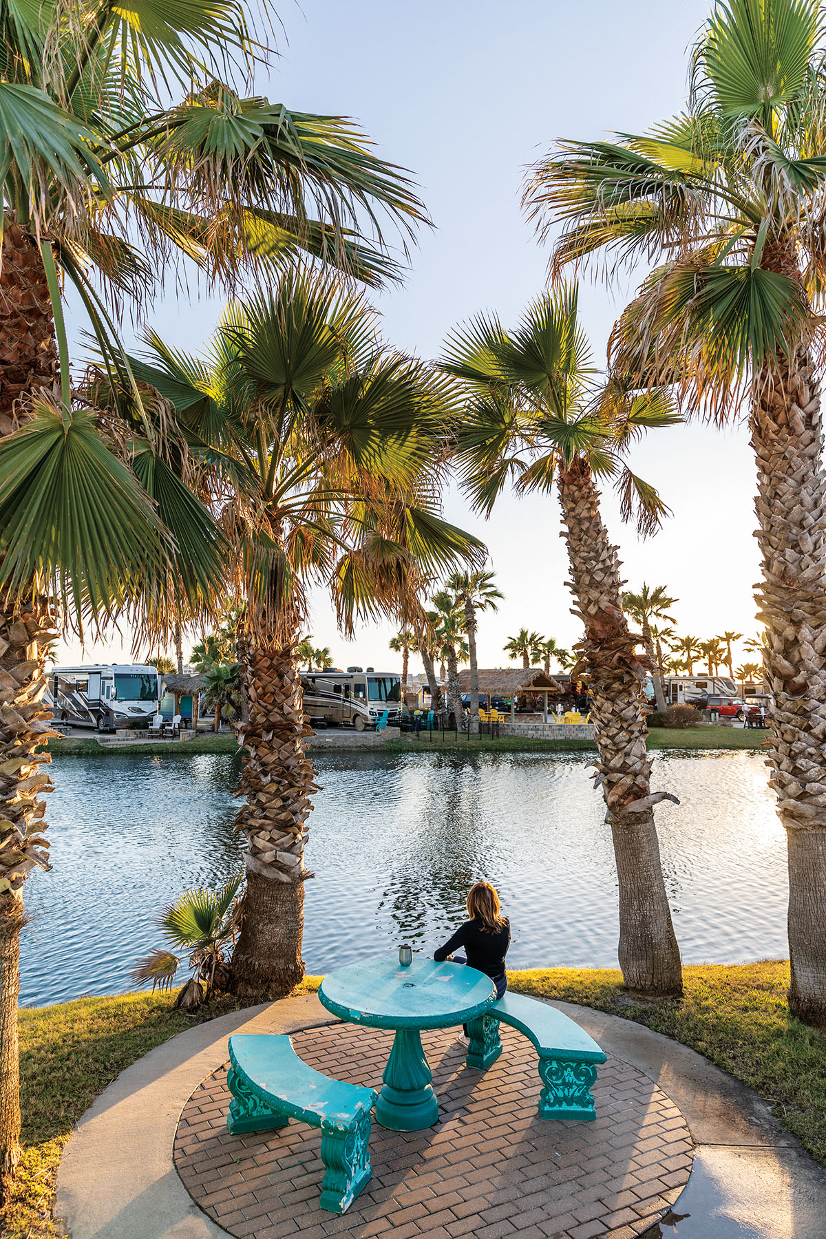 A person sits at a bright turquoise table underneath tall palm trees in a water-heavy setting