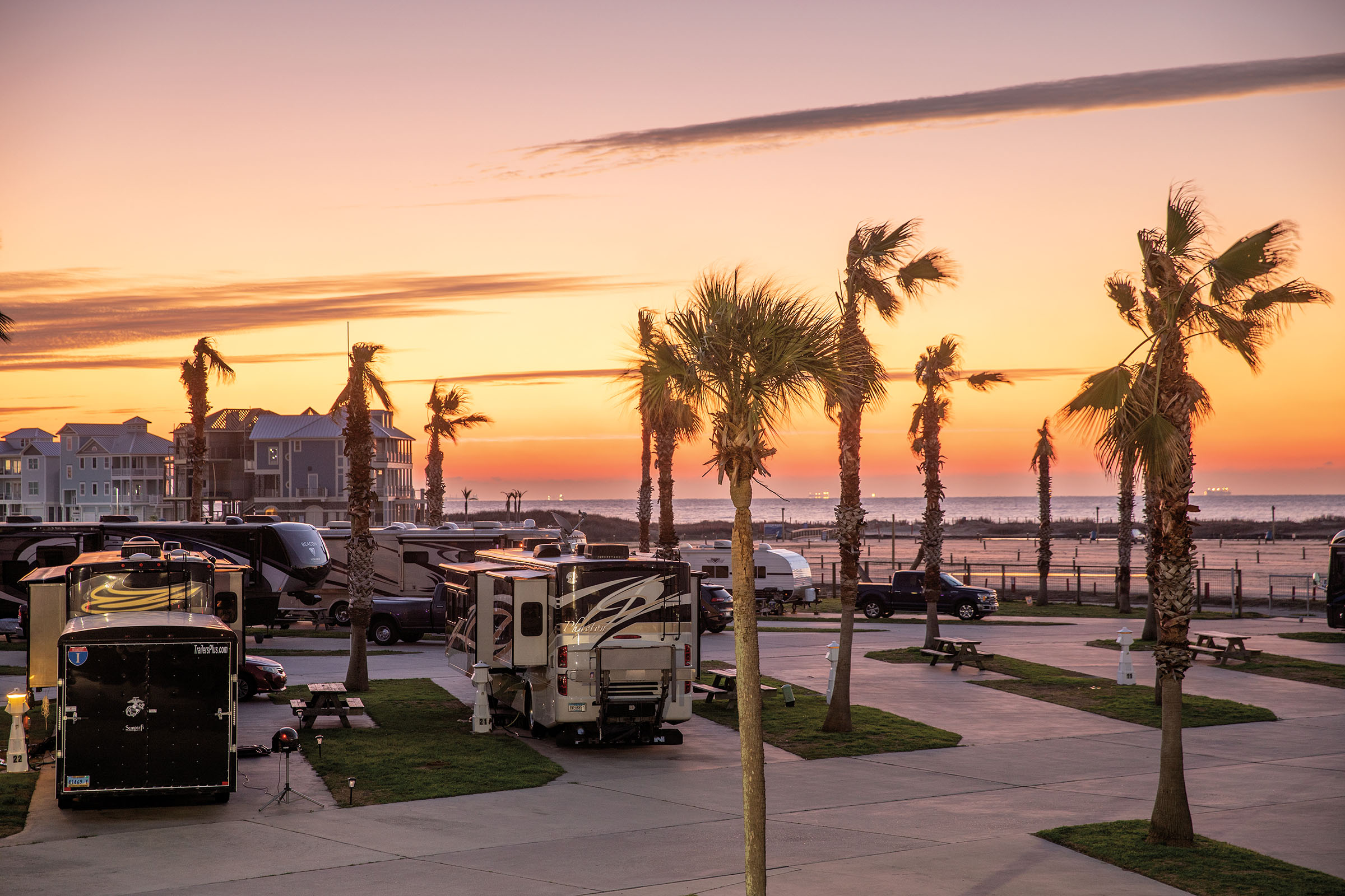 A group of RVs parked underneath palm trees in a golden sunrise