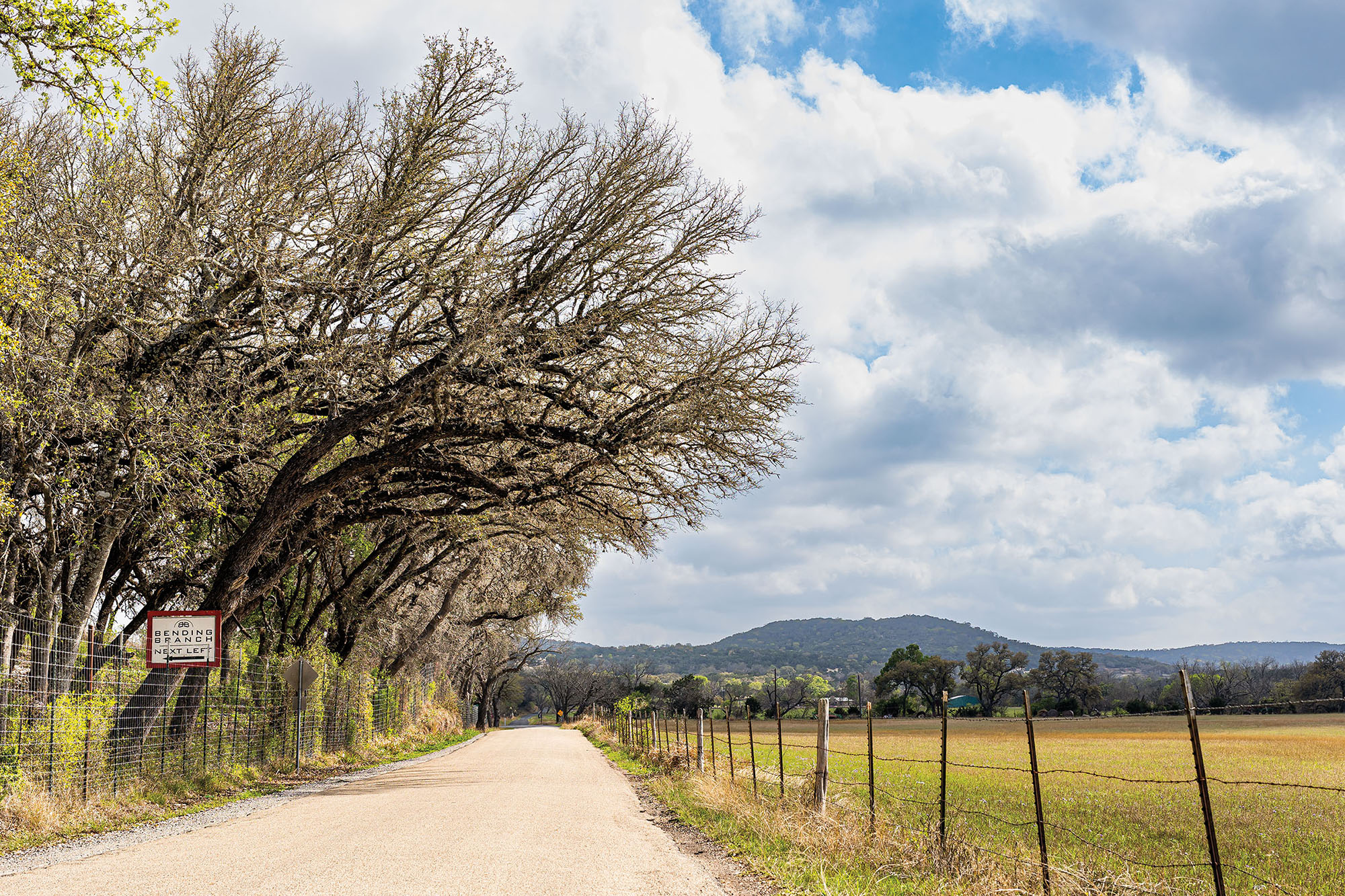 A dirt road travels next to a line of trees with green hills in the background