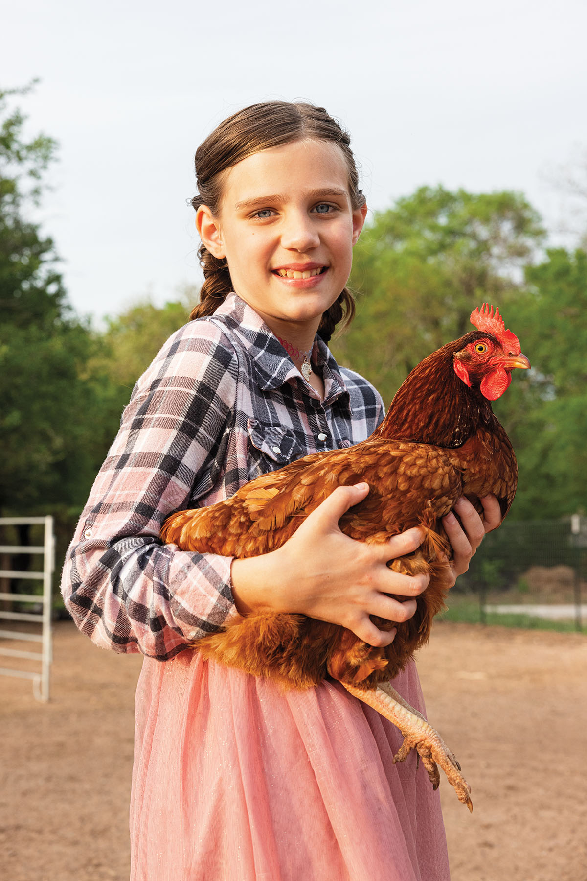 A young woman holds a large red chicken in an outdoor scene