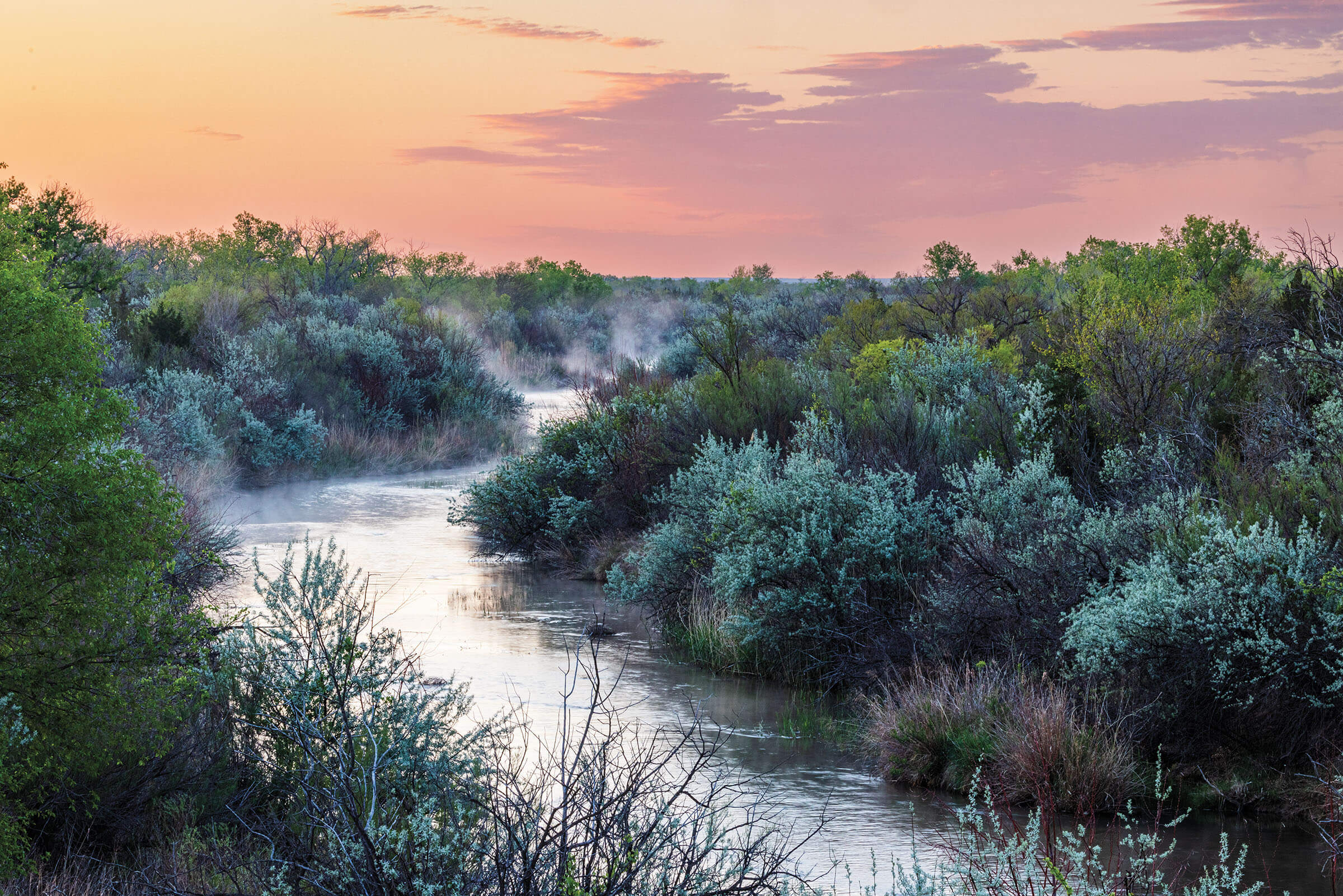 Steam rises off of a large river between two banks full of green trees under a pink sky with clouds