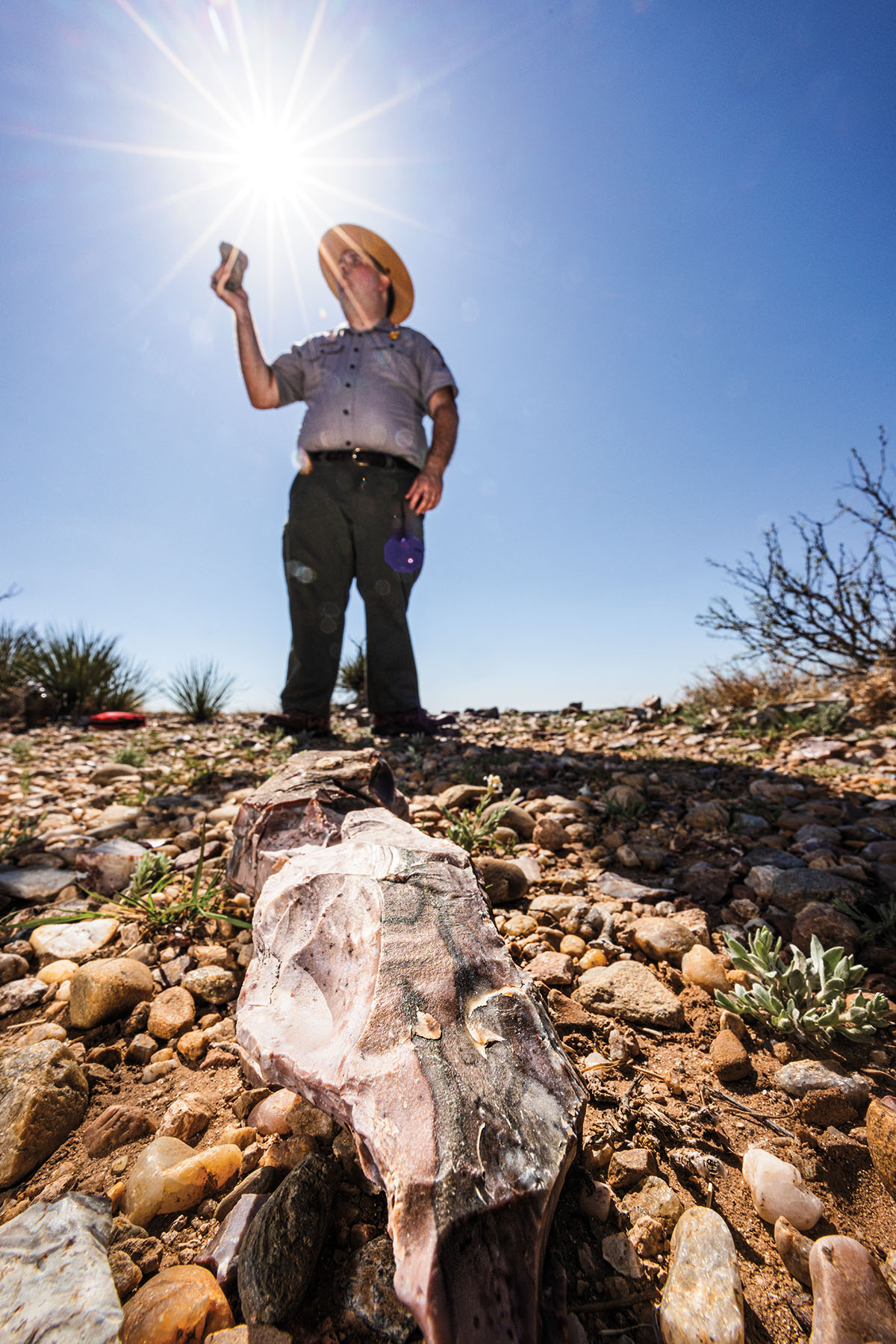A National Parks Service ranger holds a specimen in the sunlight on a rocky landscape in front of a unique rock formation