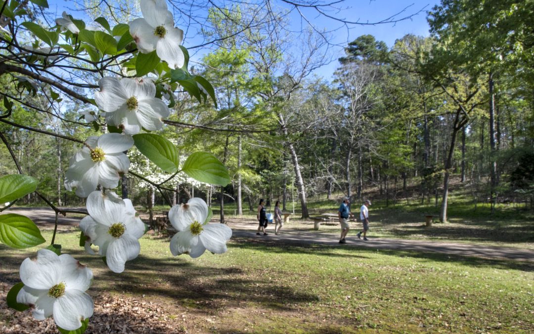 Nature and Tranquility Await at Three Parks on the Edge of East Texas
