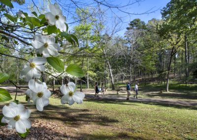 Nature and Tranquility Await at Three Parks on the Edge of East Texas