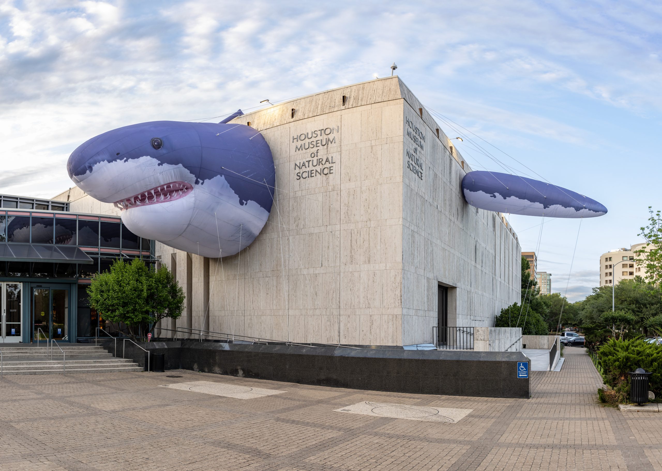 Inflatable shark head and fins attached to building