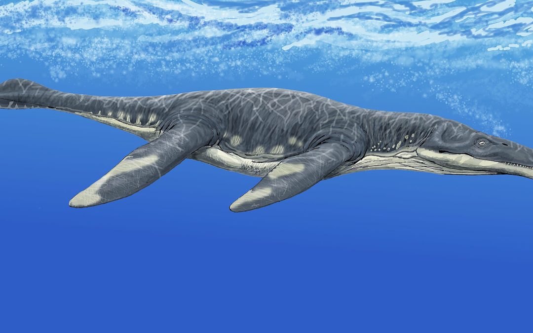 Did Texas Have a Jurassic Era? Plesiosaur Fossils Found in West Texas Say Yes