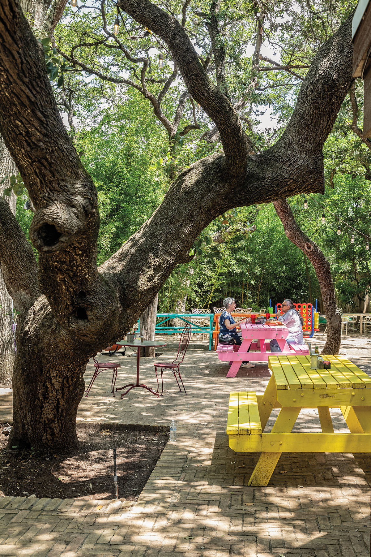 Brightly colored picnic tables underneath live oak trees